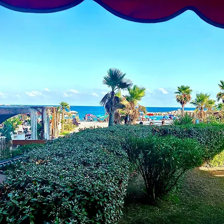 Studio Front De Mer A 10Metres De La Plage Apartment