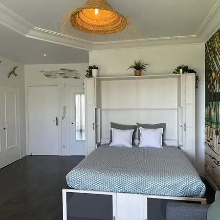 Studio Front De Mer A 10Metres De La Plage Apartment *